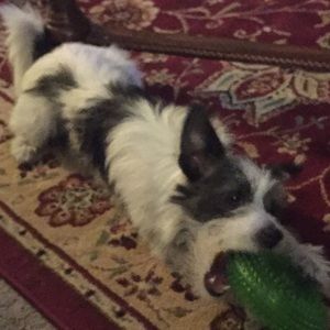 Meet your Posher, April